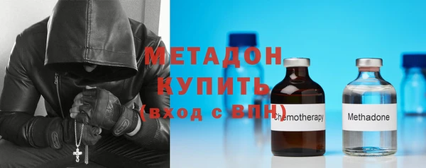 прущие грибы Протвино